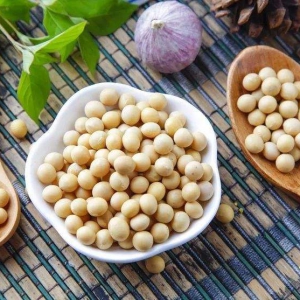 黃豆廠家直銷(xiāo)分析，如何找黃豆廠家